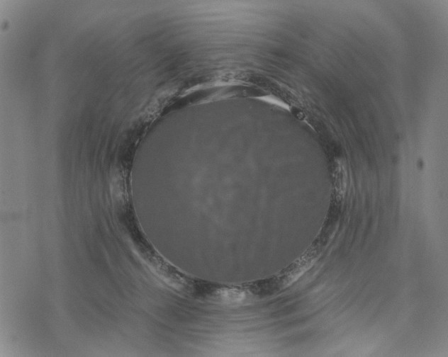 X0000076350272200610161806