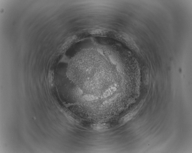 X0000076350273200610161806