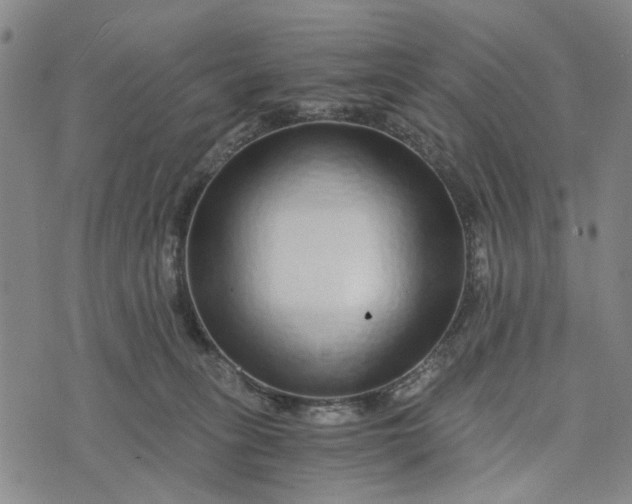 X0000076350275200610161806