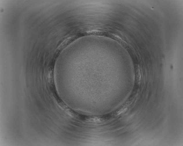 X0000076350276200610161806