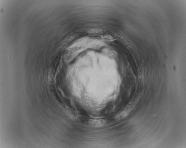 X0000076350277200610161806