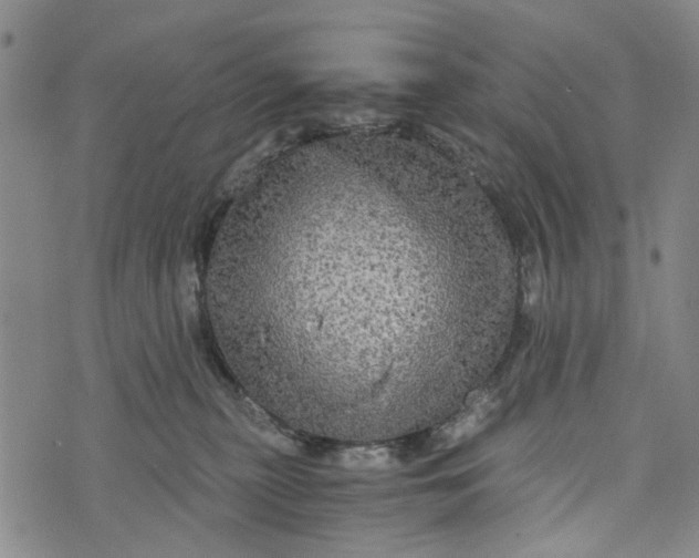 X0000076350279200610161806