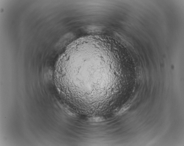 X0000076350281200610161806