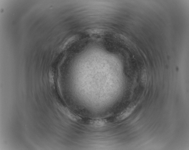 X0000076350282200610161806