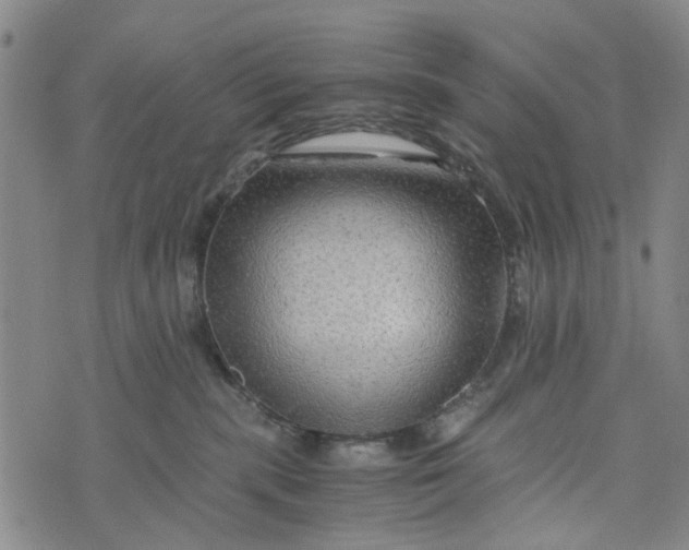 X0000076350283200610161806