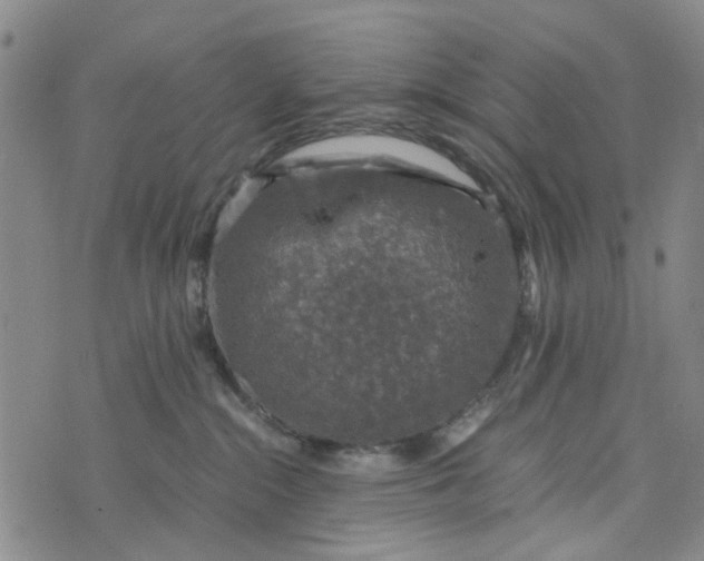 X0000076350284200610161806