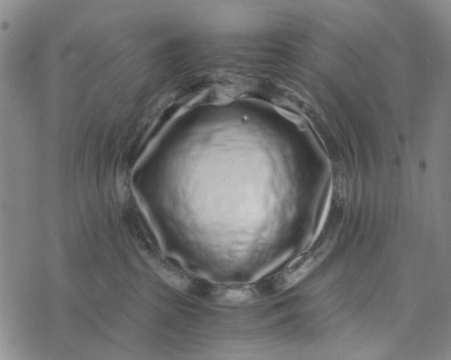 X0000076350285200610161806