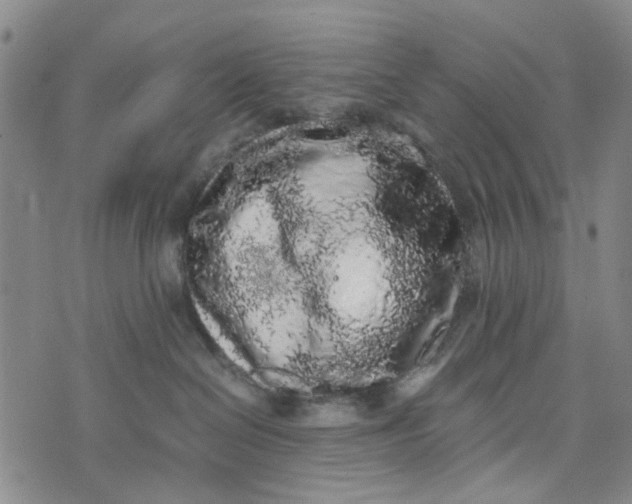 X0000076350286200610161806