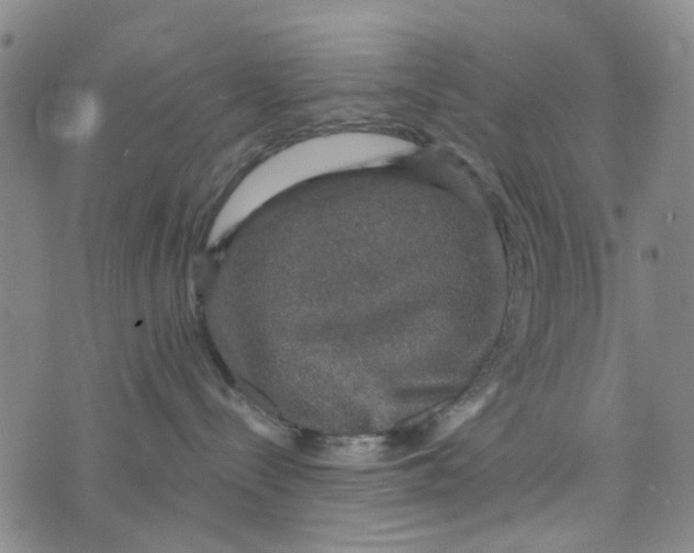 X0000076350288200610161806