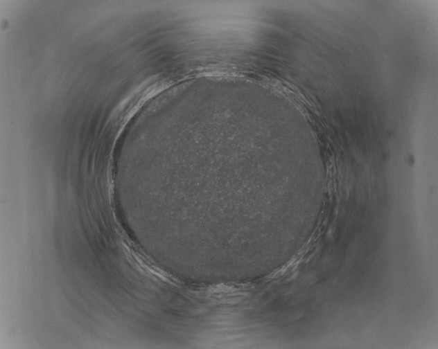 X0000076350290200610161806