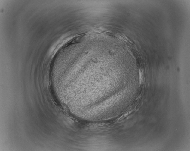 X0000076350291200610161806