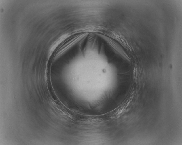 X0000076350292200610161806