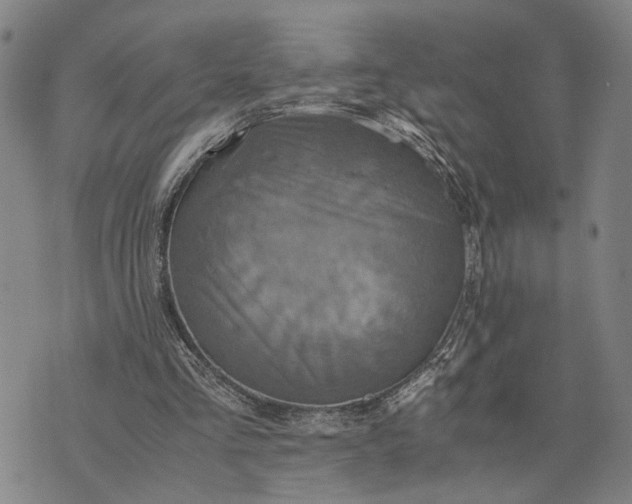 X0000076350293200610161806