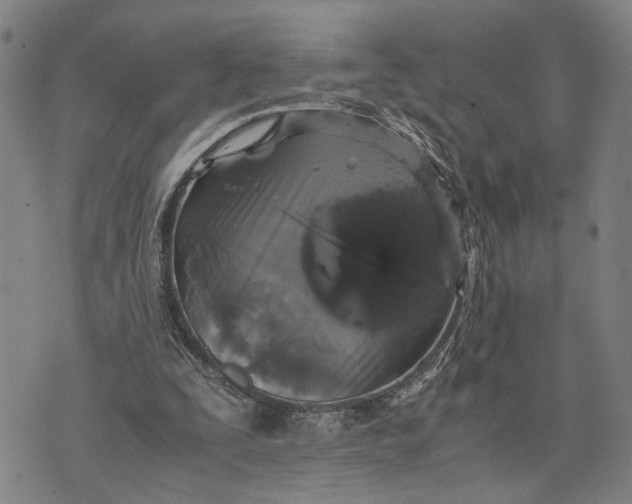 X0000076350295200610161806