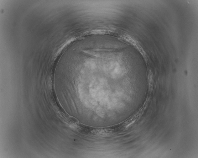 X0000076350297200610161806