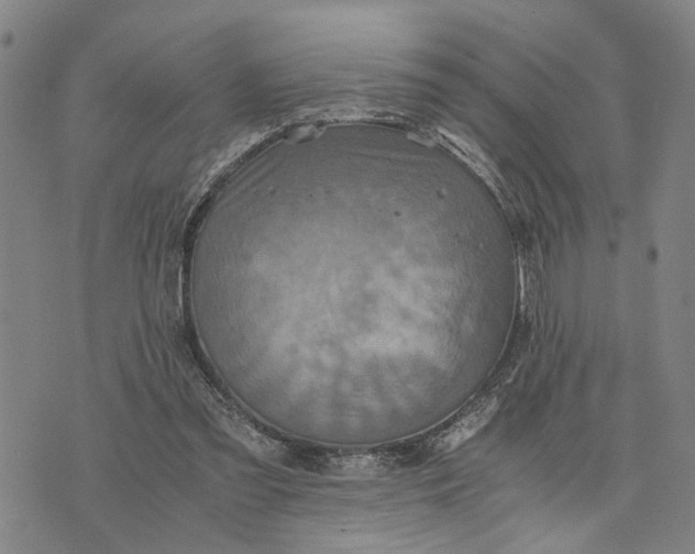 X0000076350301200610161805