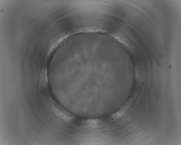 X0000076350302200610161805