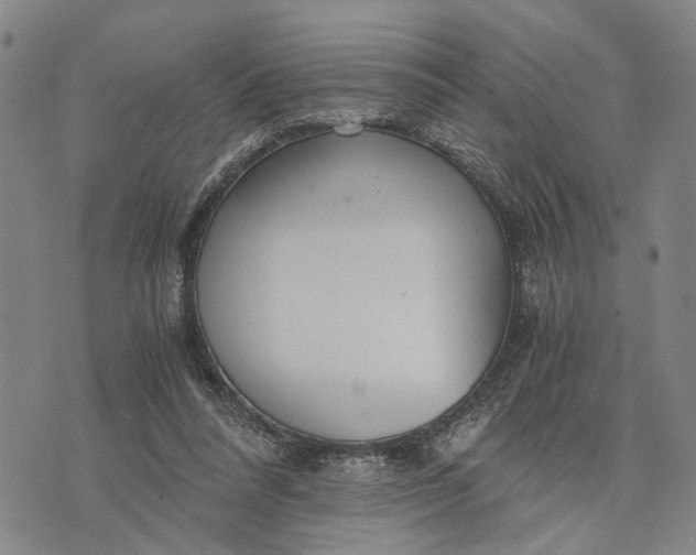 X0000076350304200610161805