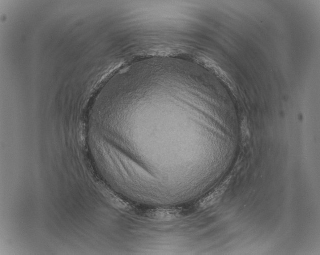 X0000076350305200610161805