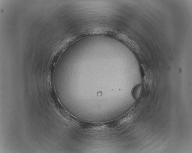 X0000076350306200610161805