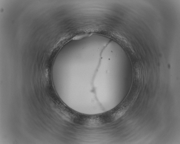 X0000076350308200610161805