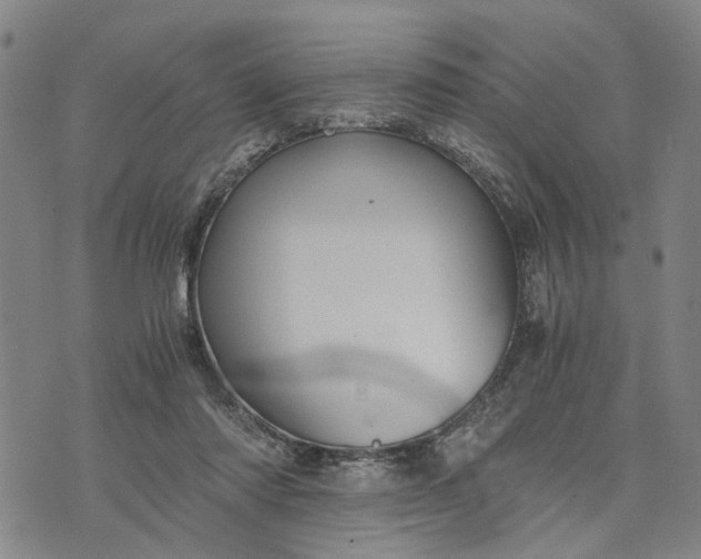 X0000076350310200610161805