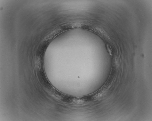 X0000076350311200610161805