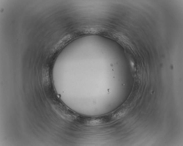 X0000076350312200610161805