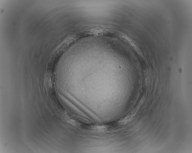 X0000076350313200610161805