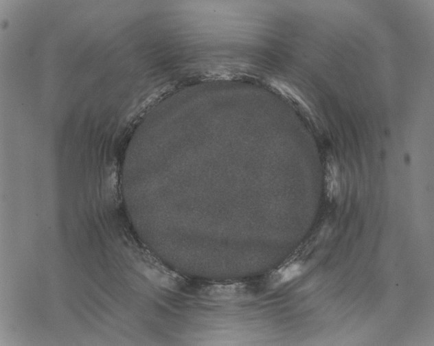 X0000076350314200610161805