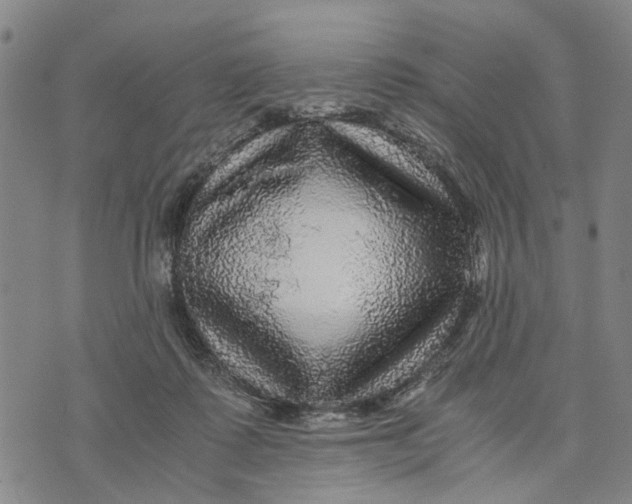 X0000076350315200610161805