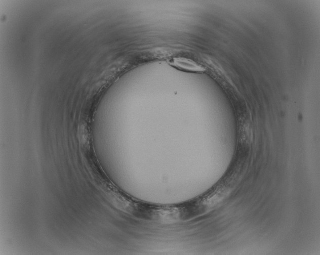 X0000076350317200610161805