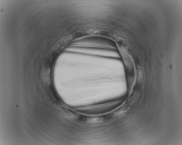 X0000076350319200610161805