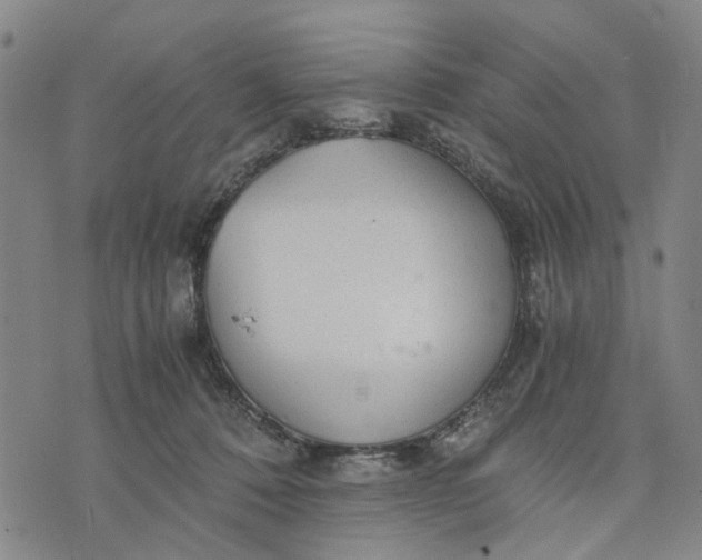 X0000076350320200610161805