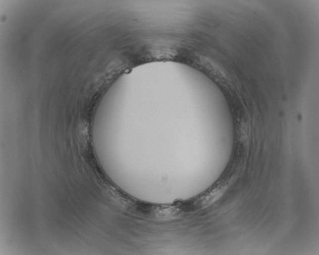 X0000076350321200610161805