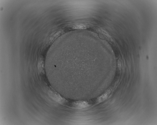 X0000076350322200610161805