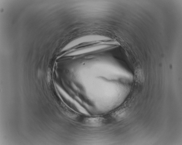 X0000076350323200610161805