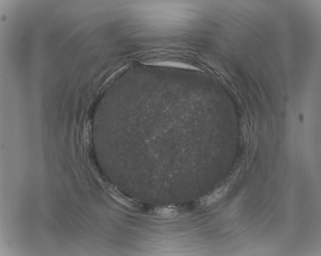 X0000076350325200610161805