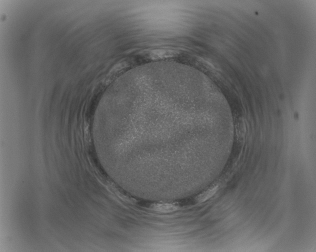 X0000076350327200610161805