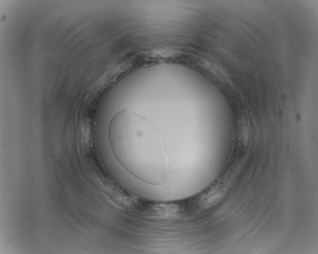 X0000076350328200610161805