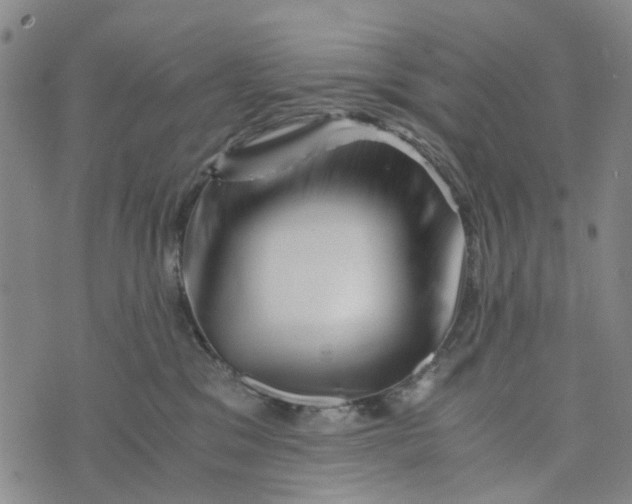 X0000076350329200610161805