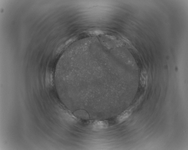 X0000076350330200610161805