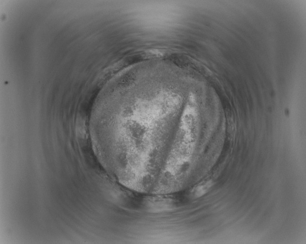 X0000076350331200610161805