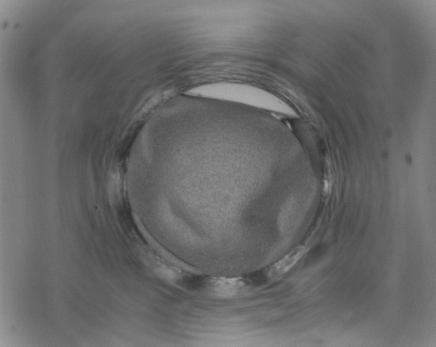 X0000076350333200610161805