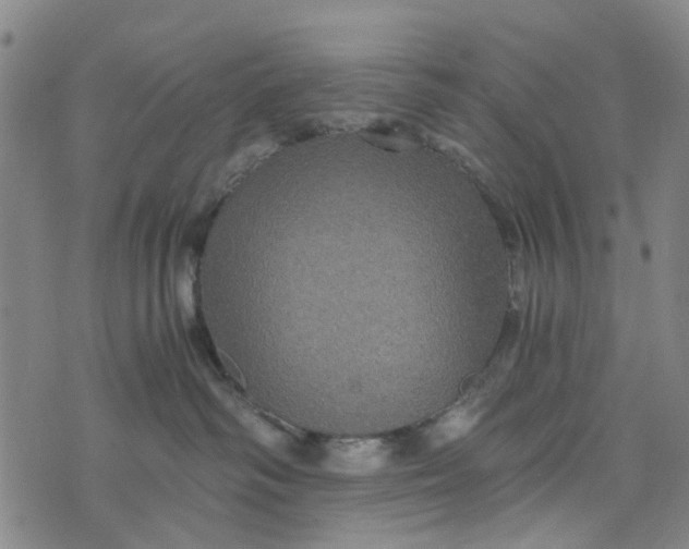 X0000076350334200610161805