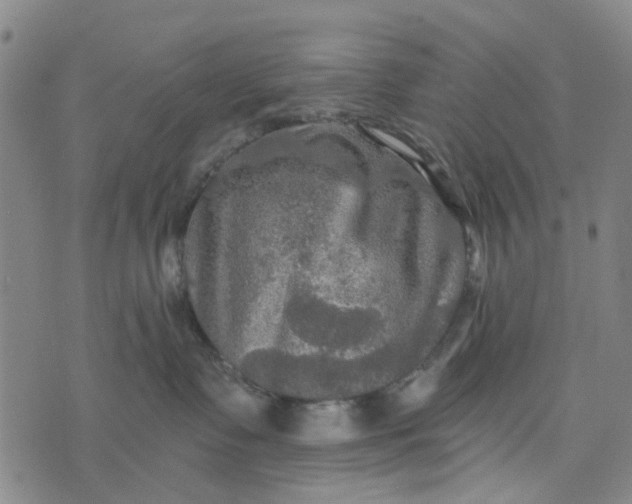 X0000076350335200610161805