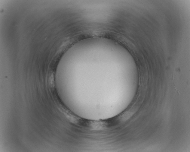 X0000076350336200610161805