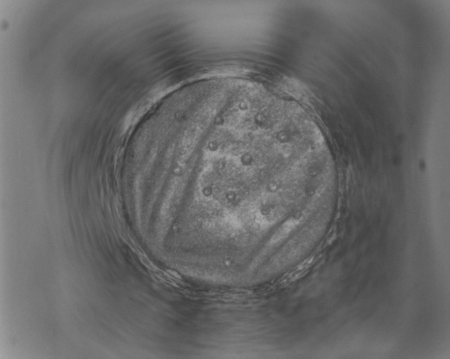 X0000076350337200610161804