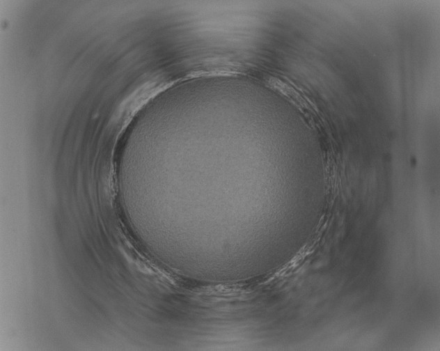 X0000076350338200610161804