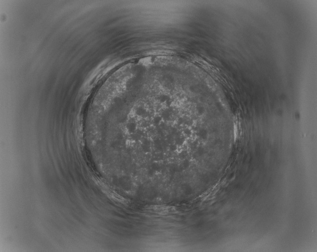 X0000076350339200610161804